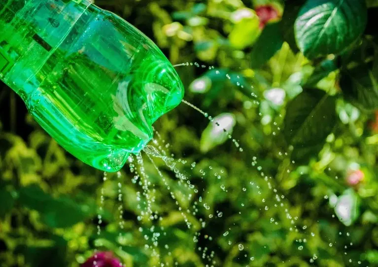 Лейка из пластиковой бутылки Лейка из пластиковой бутылки