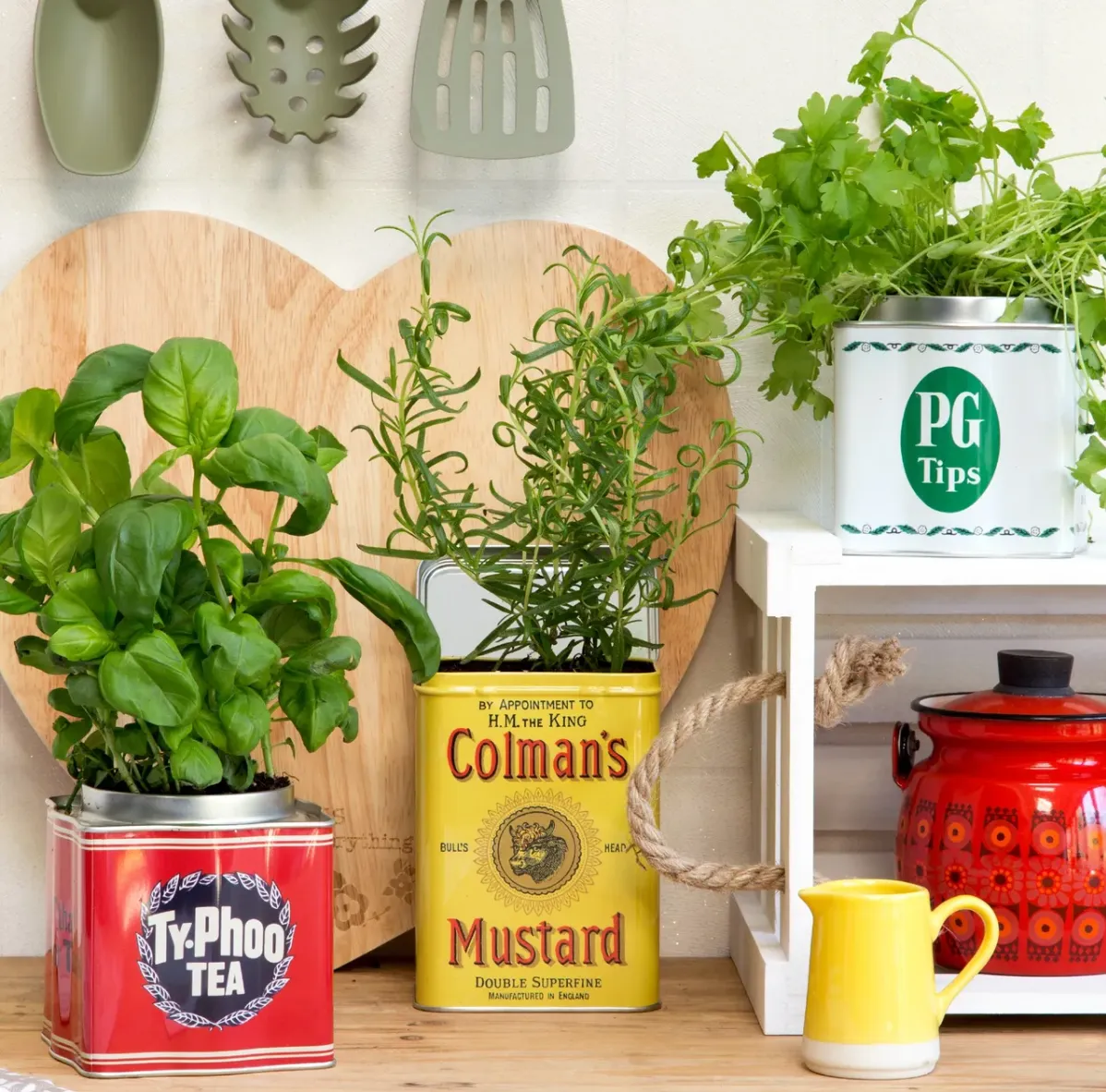 комнатные растения на кухне комнатные растения на кухне