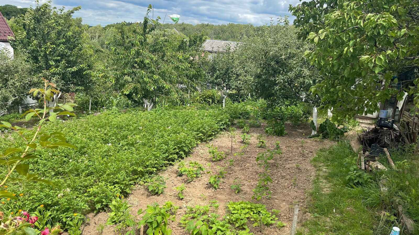 Какие участки можно приватизировать во время военного положения Какие участки можно приватизировать во время военного положения