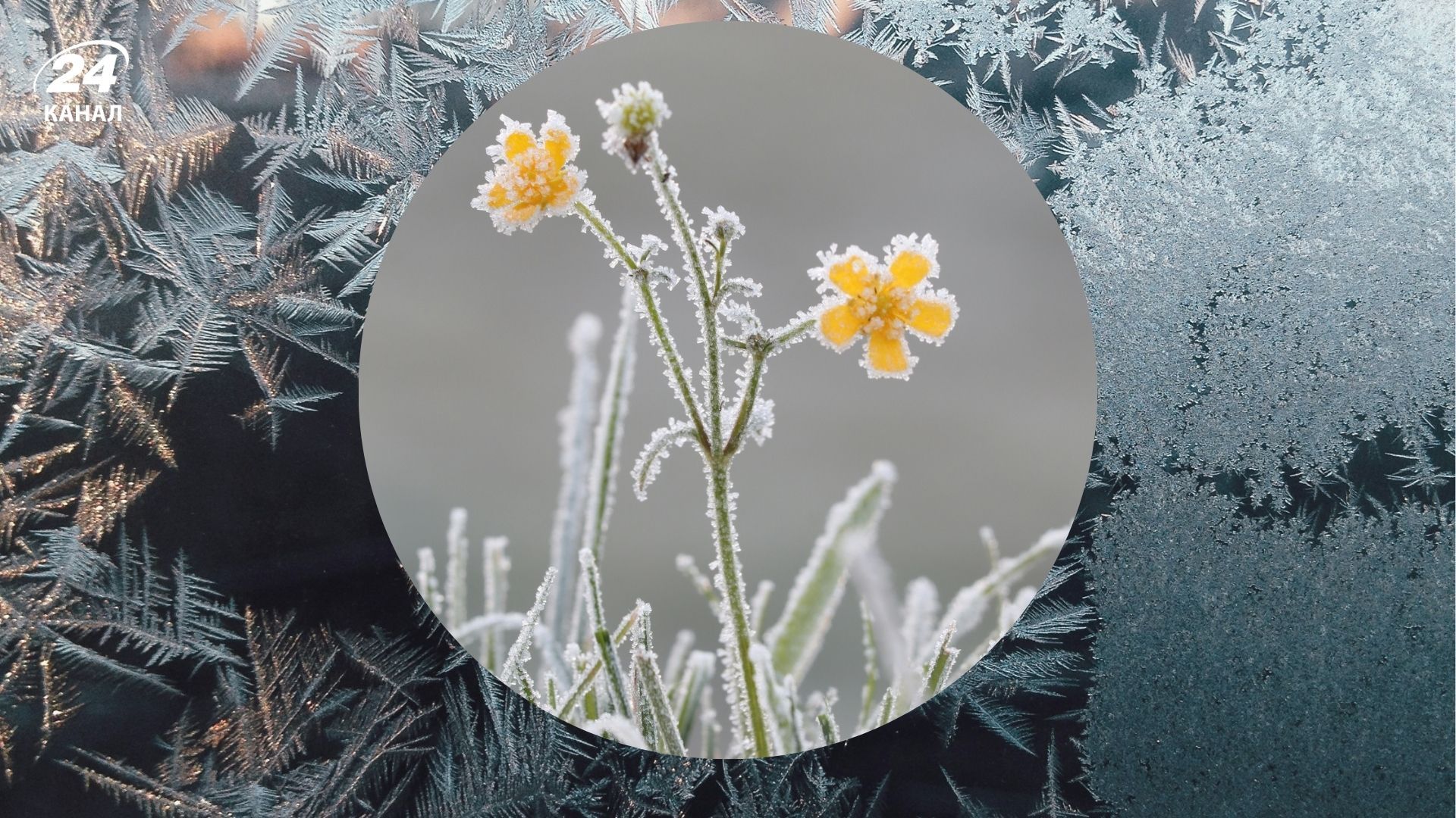 Когда будут морозы -20 градусов - 24 Канал Когда будут морозы -20 градусов - 24 Канал