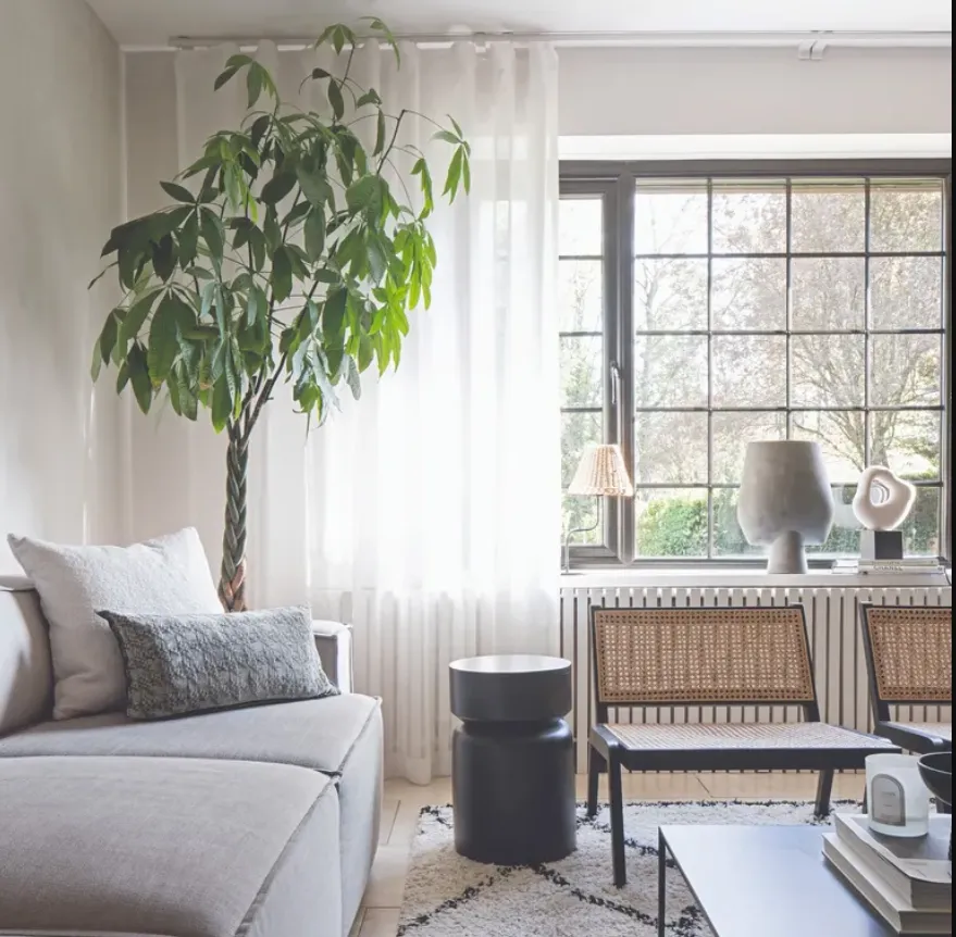 штори штори