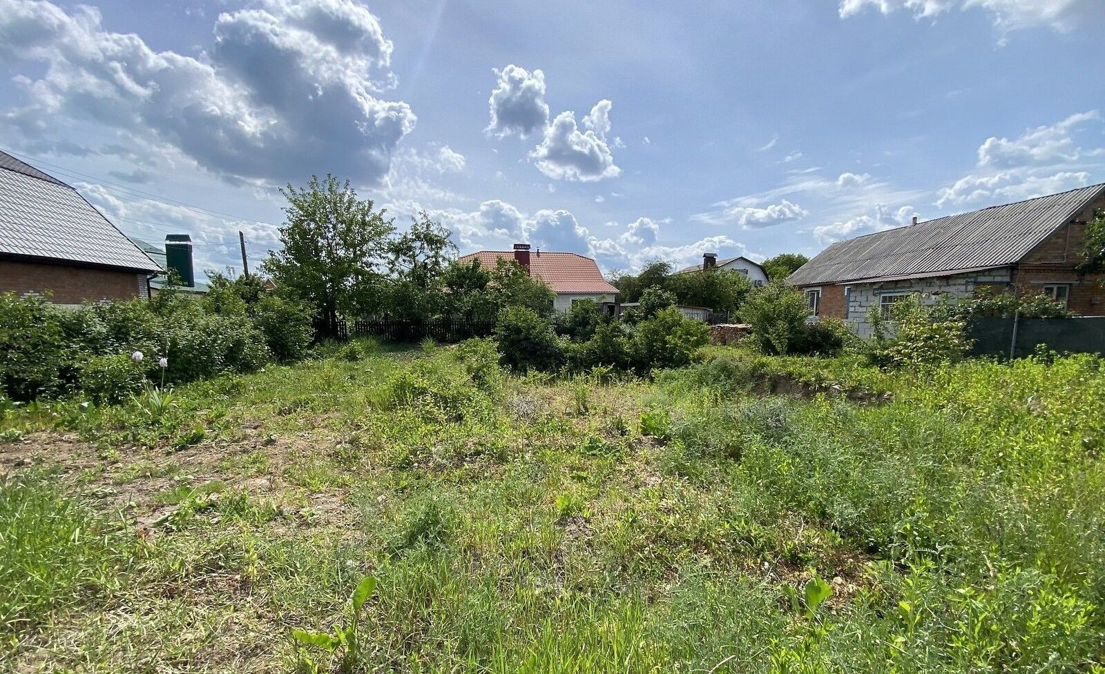 Скільки метрів від дерева до будинку повинно бути Скільки метрів від дерева до будинку повинно бути