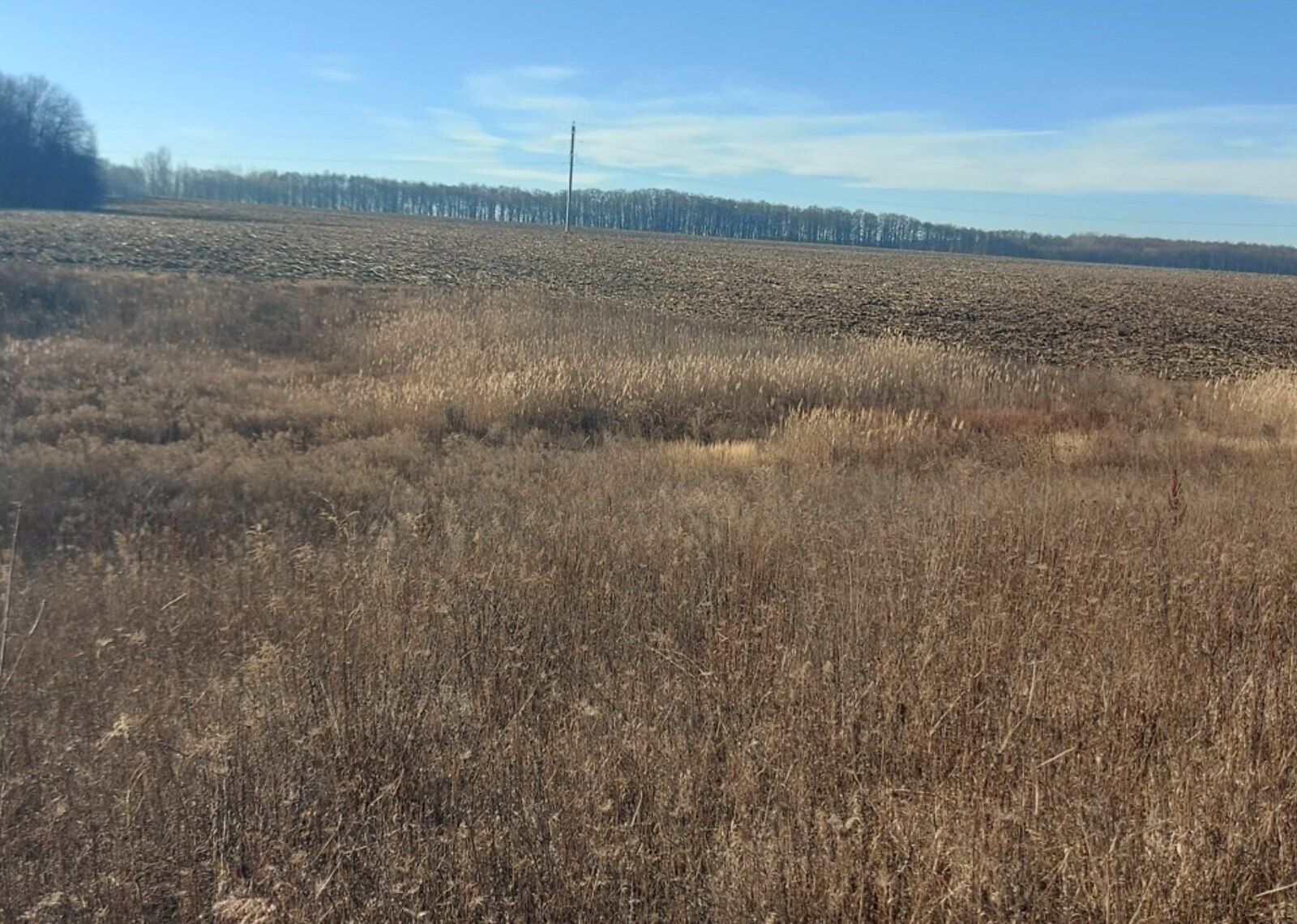 Сколько земли можно приватизировать Сколько земли можно приватизировать