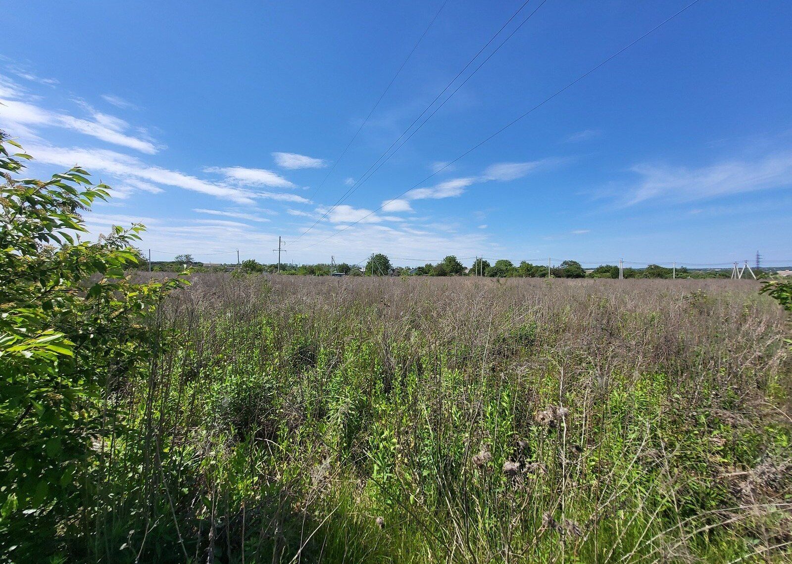 Скільки у середньому землі містить пай Скільки у середньому землі містить пай