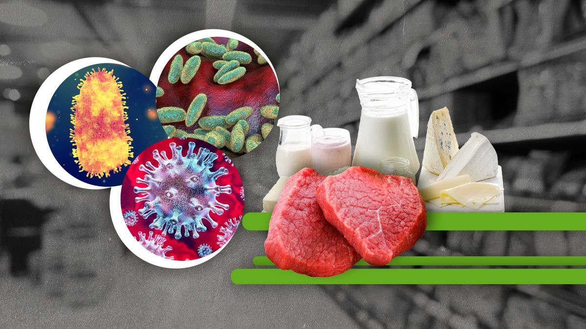 Як АЧС вплине на вартість свинини Як АЧС вплине на вартість свинини