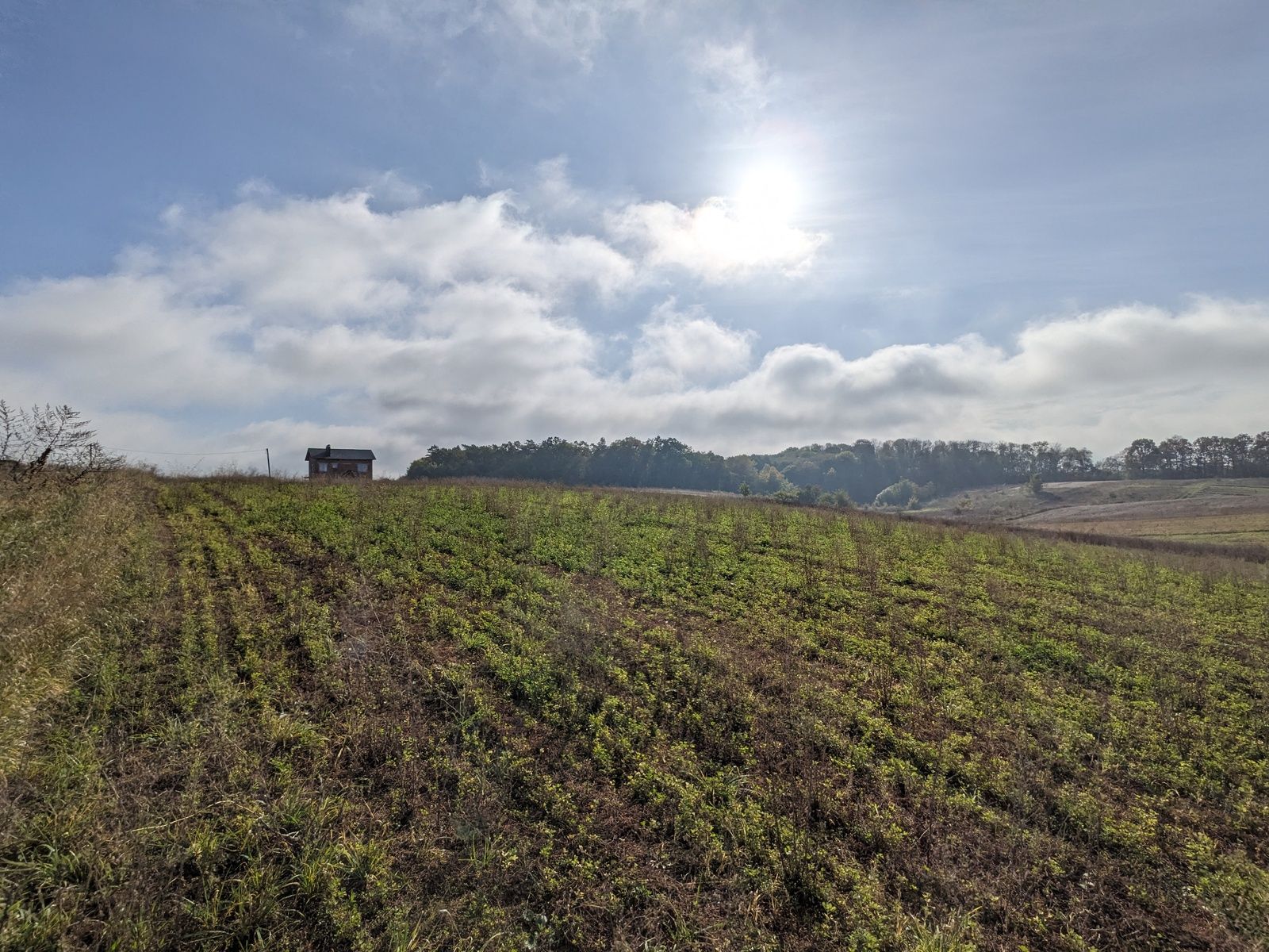 Как оформить наследство Как оформить наследство