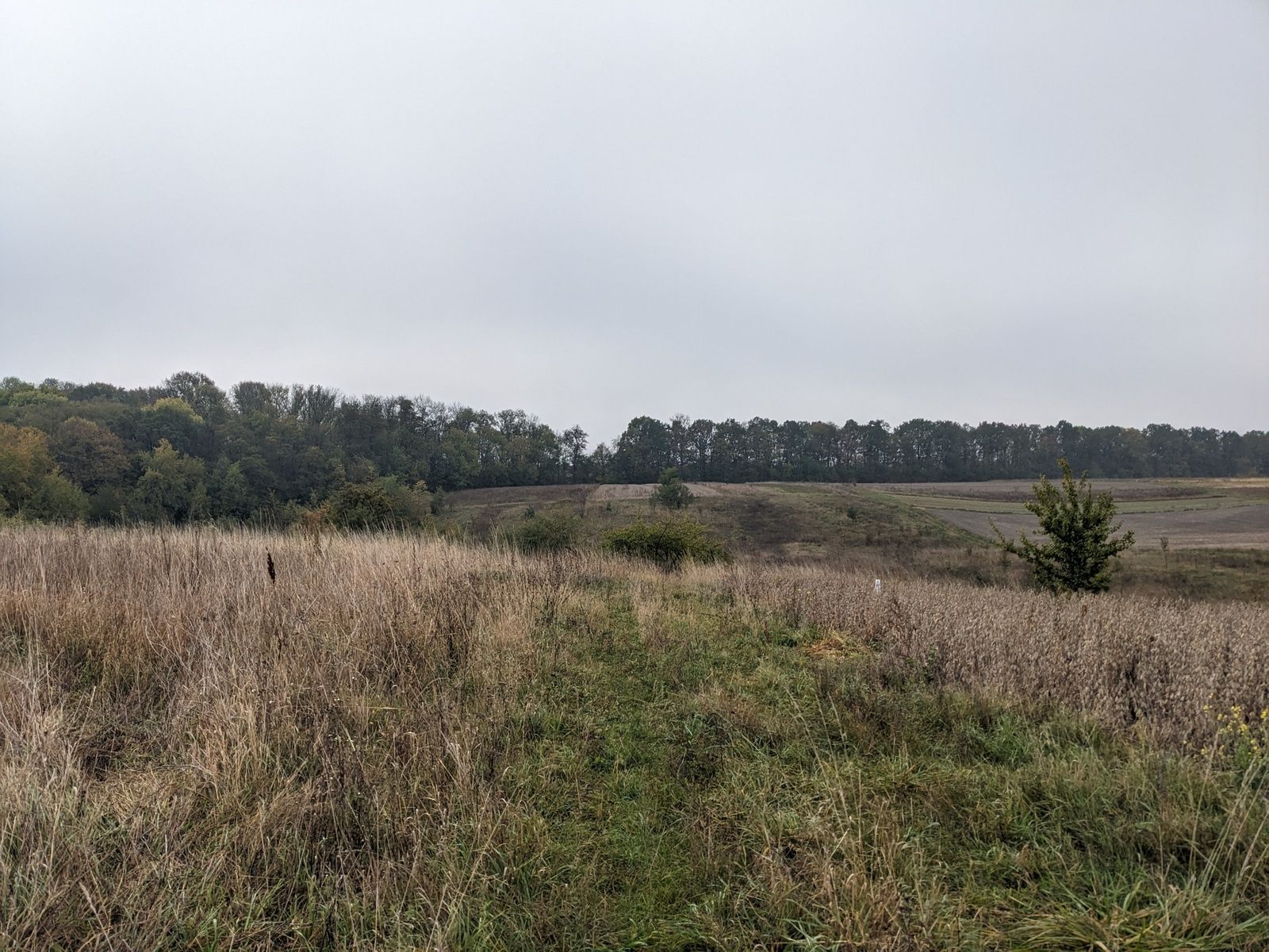 Может ли субаренда быть дороже аренды Может ли субаренда быть дороже аренды