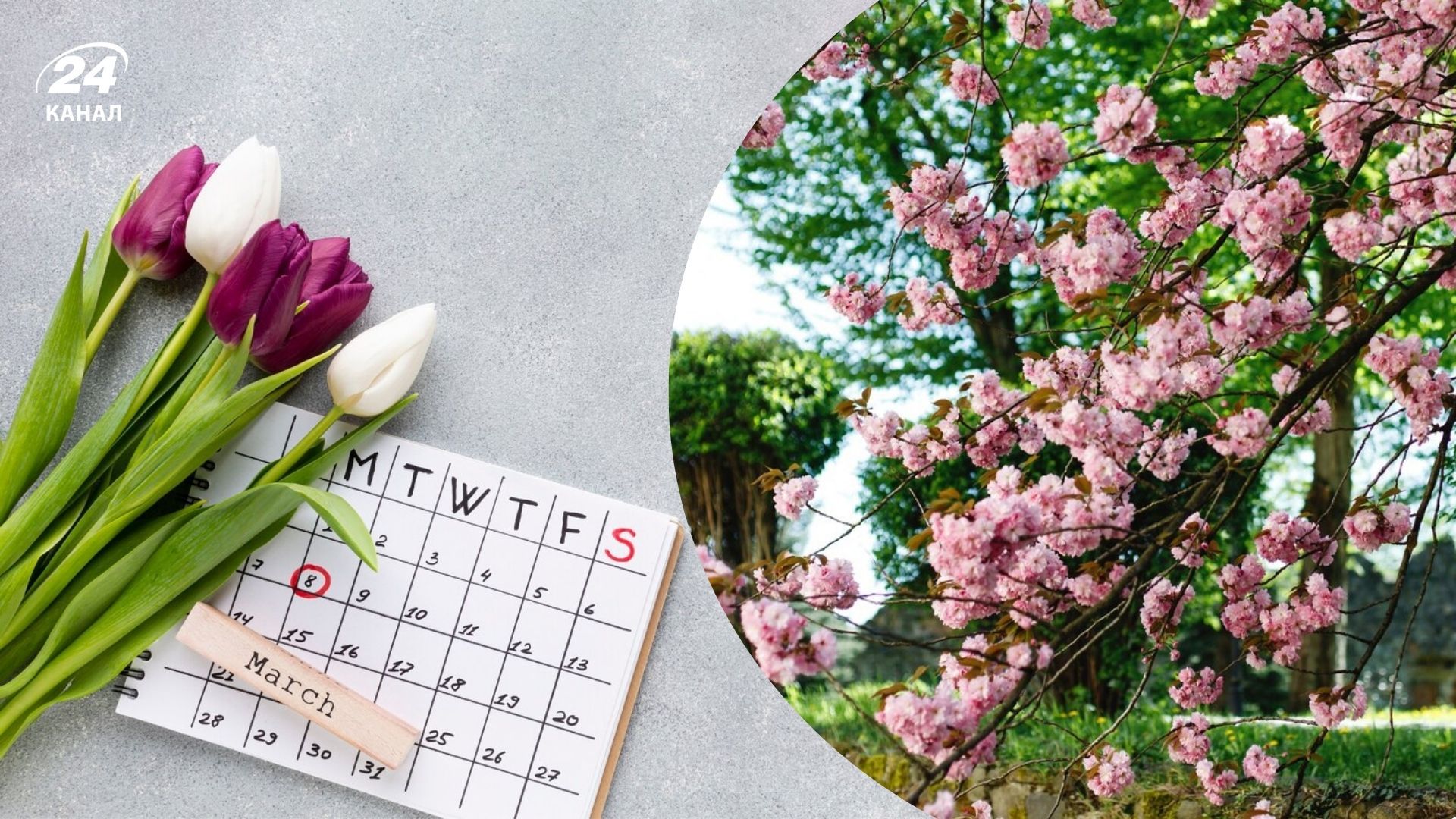 Какие праздники будут в марте 2025 года Какие праздники будут в марте 2025 года
