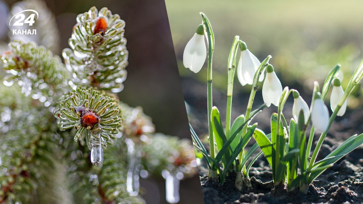 Прогноз погоди на перші дні березня в Україні Прогноз погоди на перші дні березня в Україні