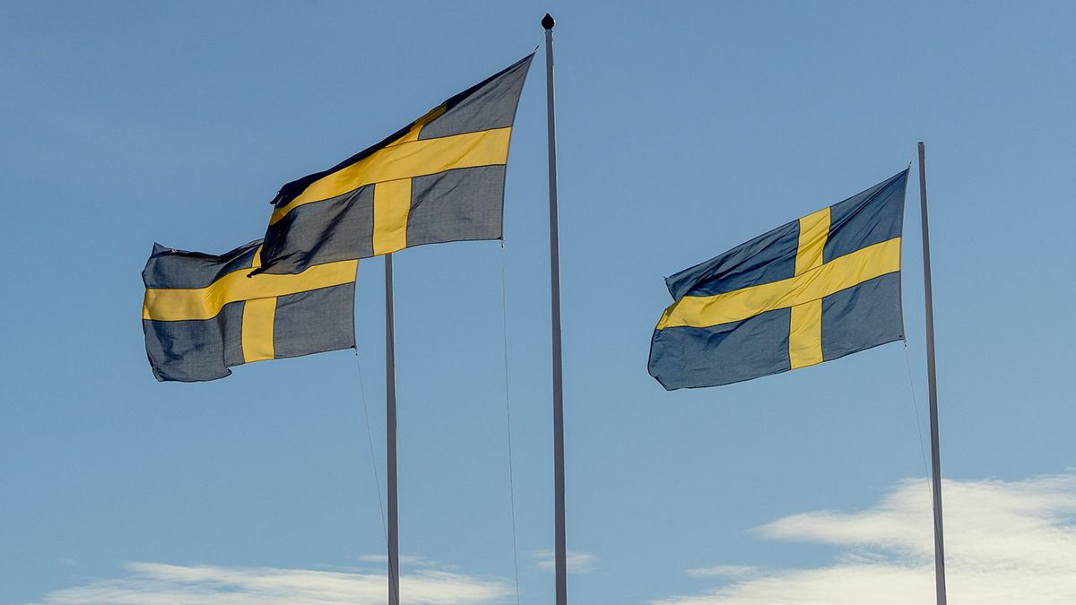 Що відомо про системи ППО, які передасть Швеція Що відомо про системи ППО, які передасть Швеція