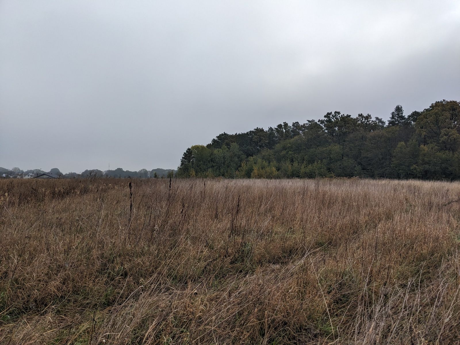 Скільки у середньому коштує пай Скільки у середньому коштує пай