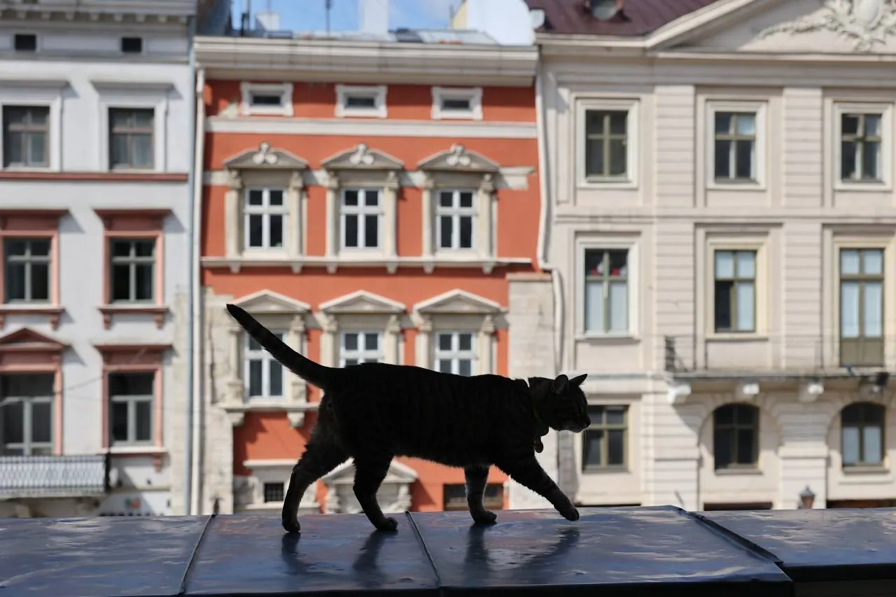 Левчик оглядає свої володіння / Фото надане 24 Каналу Левчик оглядає свої володіння / Фото надане 24 Каналу