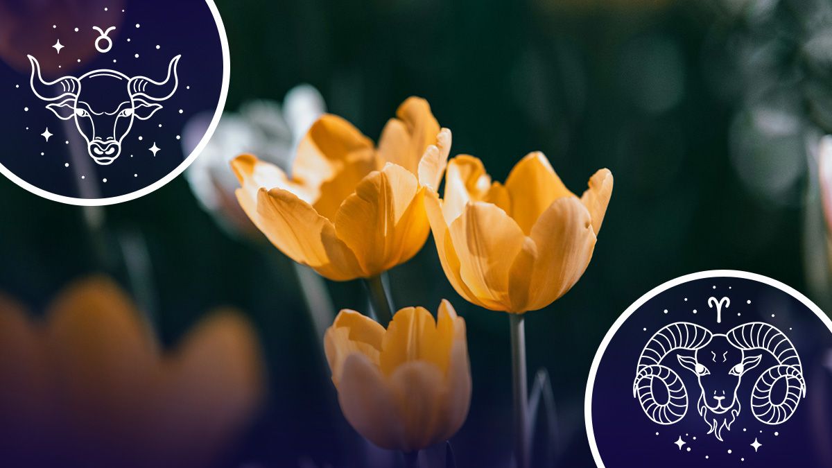 У кого стануться зміни в житті у весняний період - гороскоп У кого стануться зміни в житті у весняний період - гороскоп