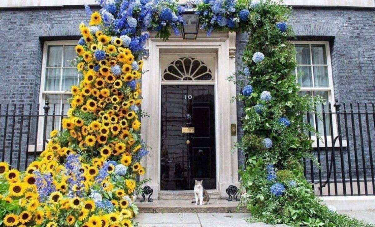 Кіт Ларрі підтримав Україну Кіт Ларрі підтримав Україну