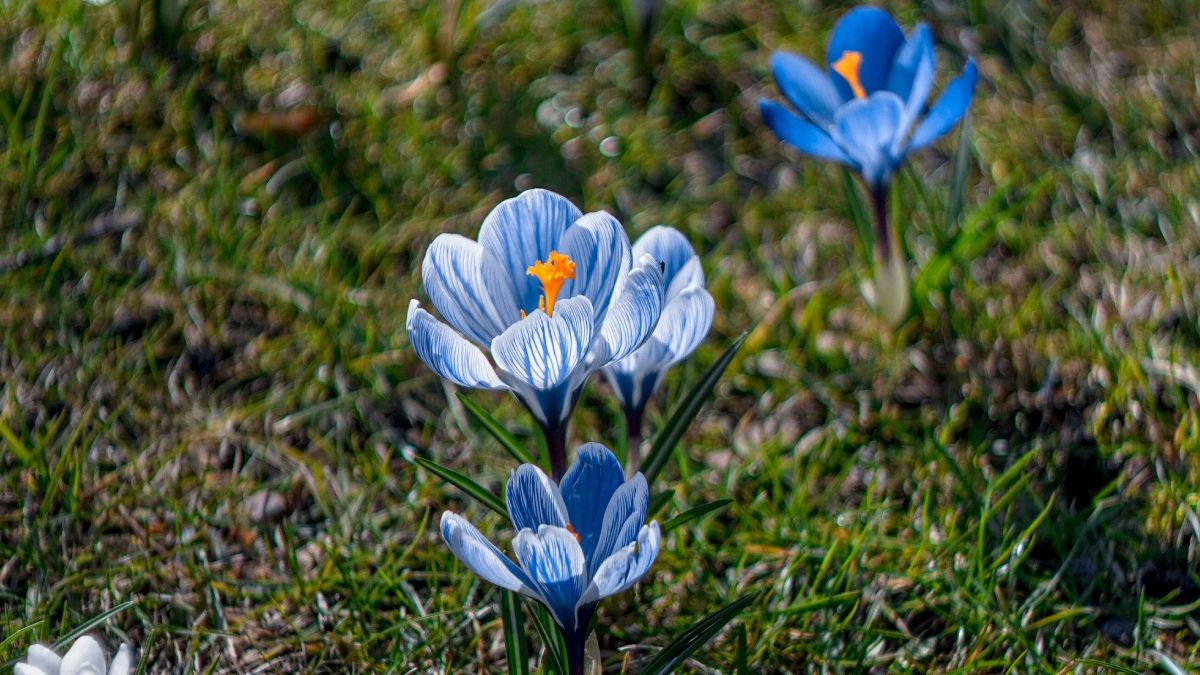 Погода на март Погода на март