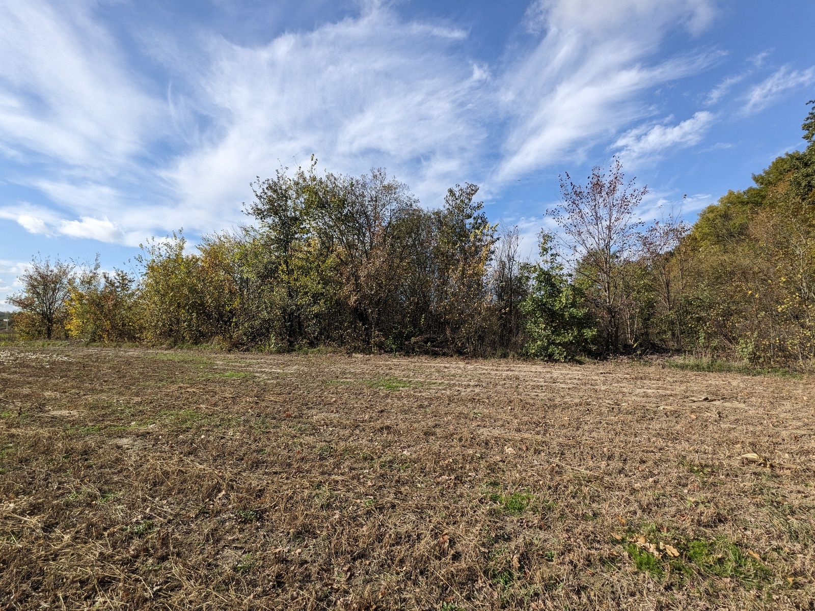 Чи можна орендувати землю на рік Чи можна орендувати землю на рік