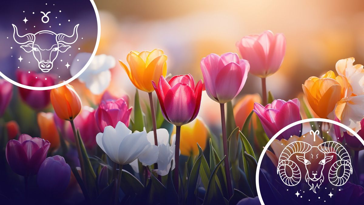 Хто отримає хорошу новину на початку березня - гороскоп Хто отримає хорошу новину на початку березня - гороскоп