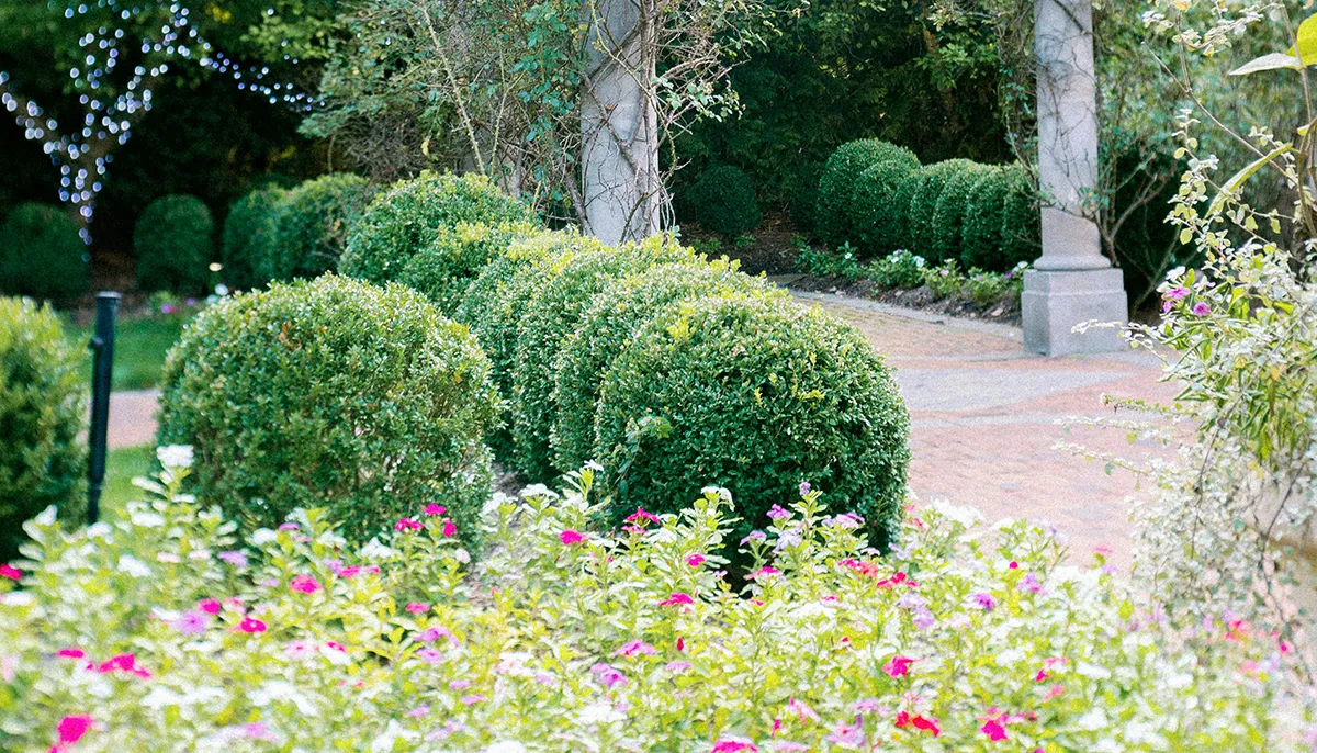 Садовые скульптуры сделают сад элегантным Садовые скульптуры сделают сад элегантным