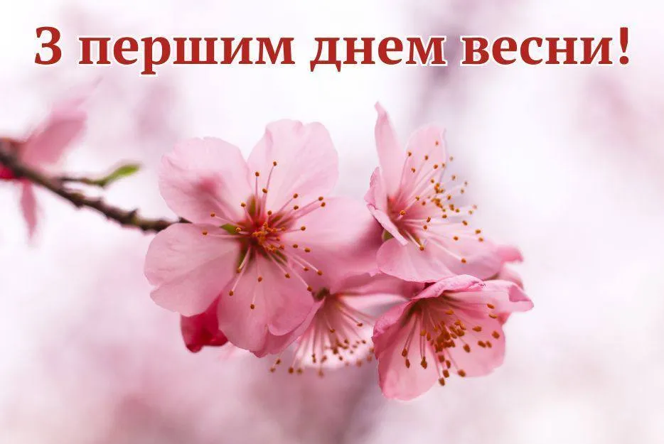 Привітання з першим днем весни 2025 Привітання з першим днем весни 2025