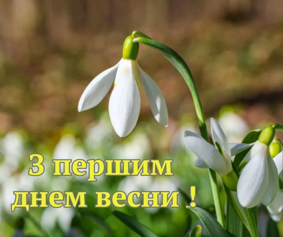 Привітання з першим днем весни 2025 Привітання з першим днем весни 2025