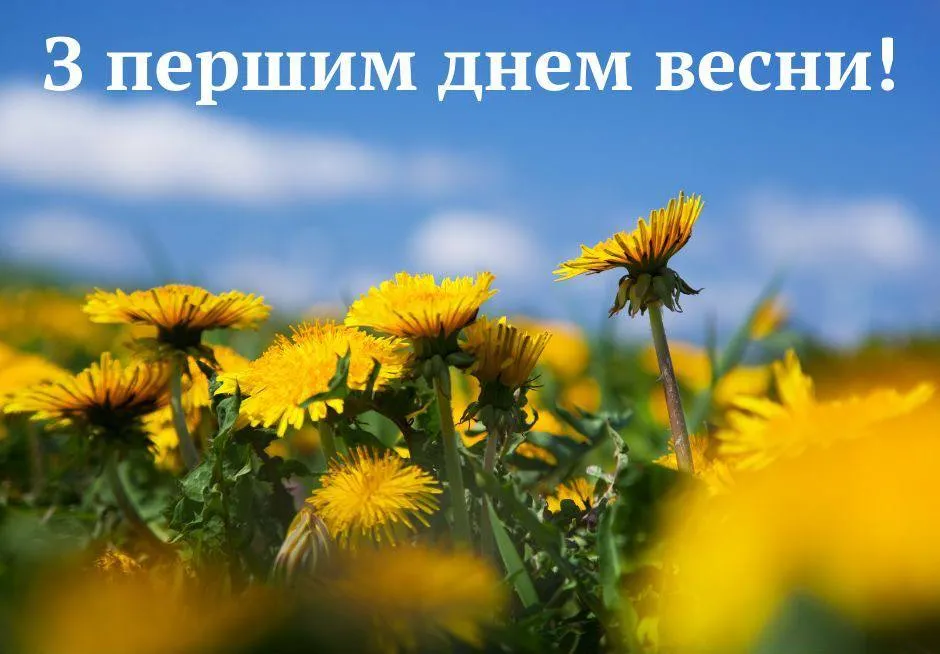 Привітання з першим днем весни 2025 Привітання з першим днем весни 2025