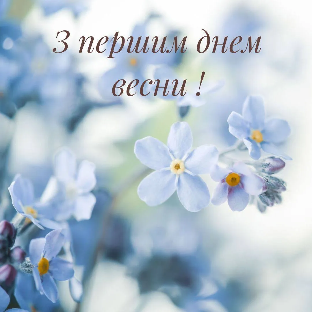 Привітання з першим днем весни 2025 Привітання з першим днем весни 2025