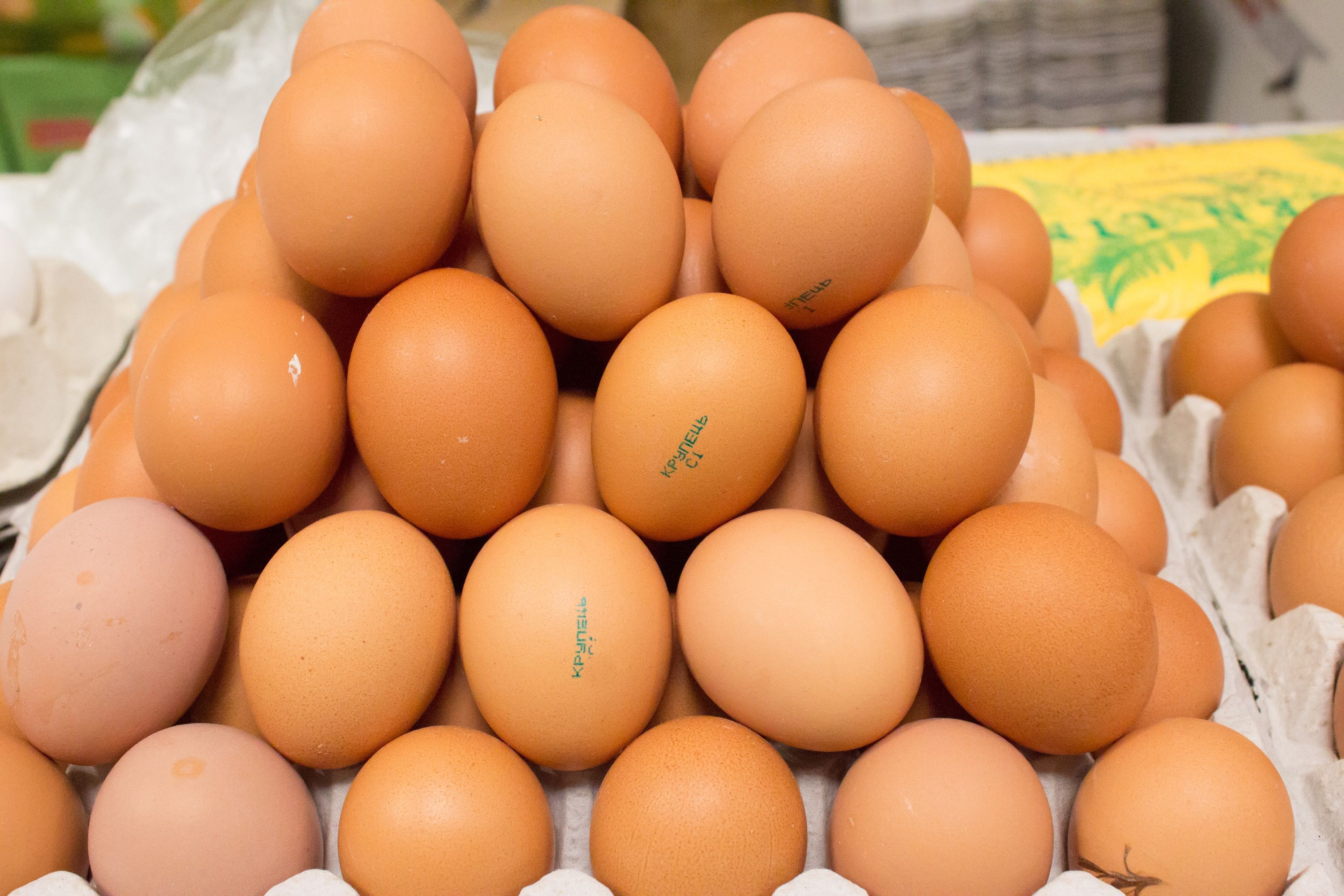 У Польщі дефіцит яєць У Польщі дефіцит яєць