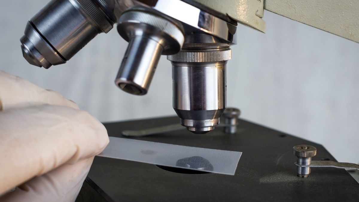 Революционный прорыв в искусственном фотосинтезе превращает отходы в энергию и лекарства