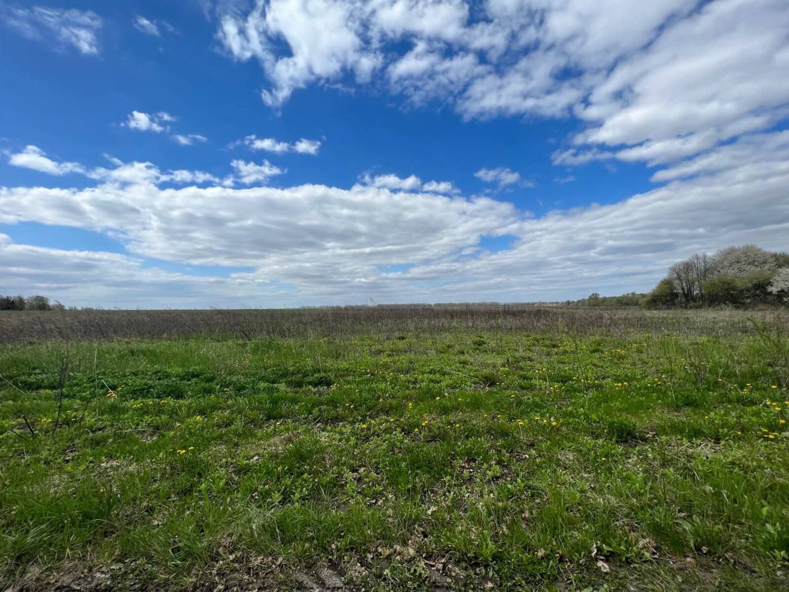Сколько земли в составе пая Сколько земли в составе пая