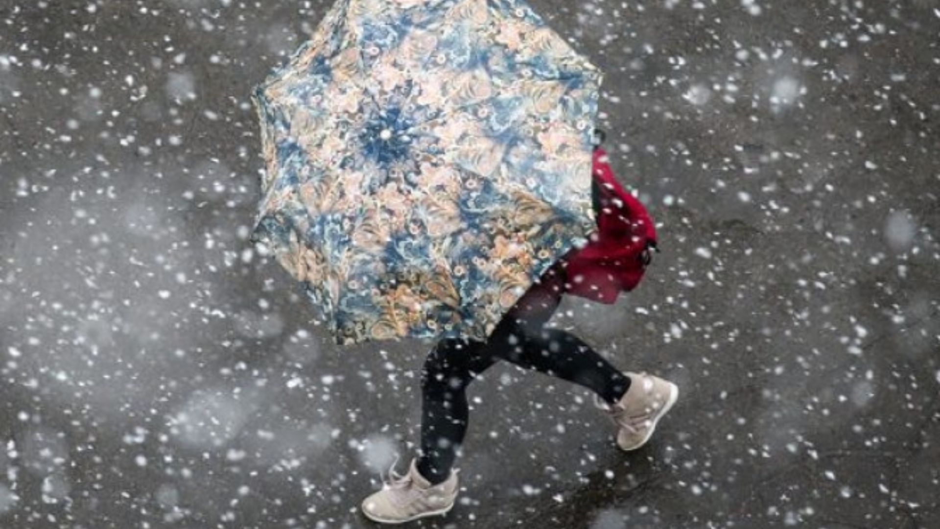 Прогноз погоди в Україні 1 березня - 24 Канал Прогноз погоди в Україні 1 березня - 24 Канал