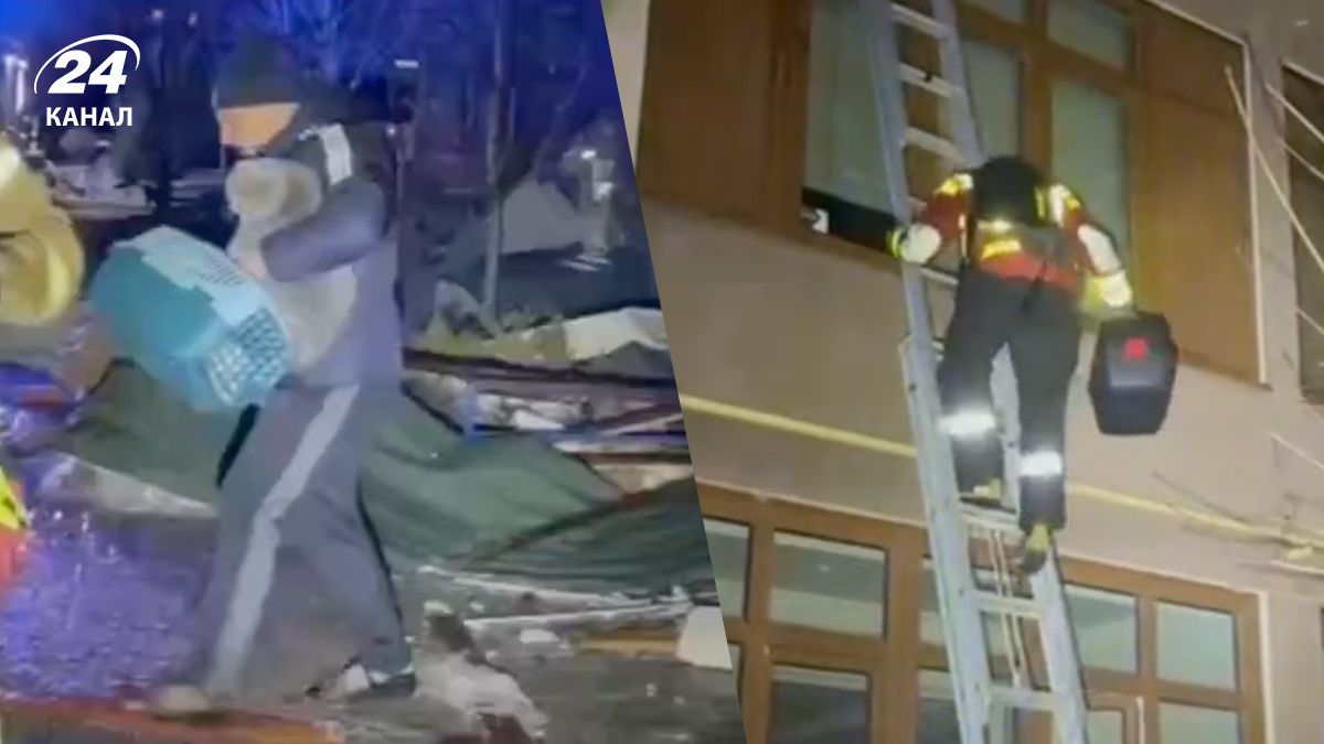 Чи вдалося врятувати котиків з будинку, куди влучив дрон, у Запоріжжі Чи вдалося врятувати котиків з будинку, куди влучив дрон, у Запоріжжі