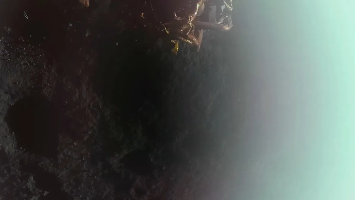 Blue Ghost Blue Ghost