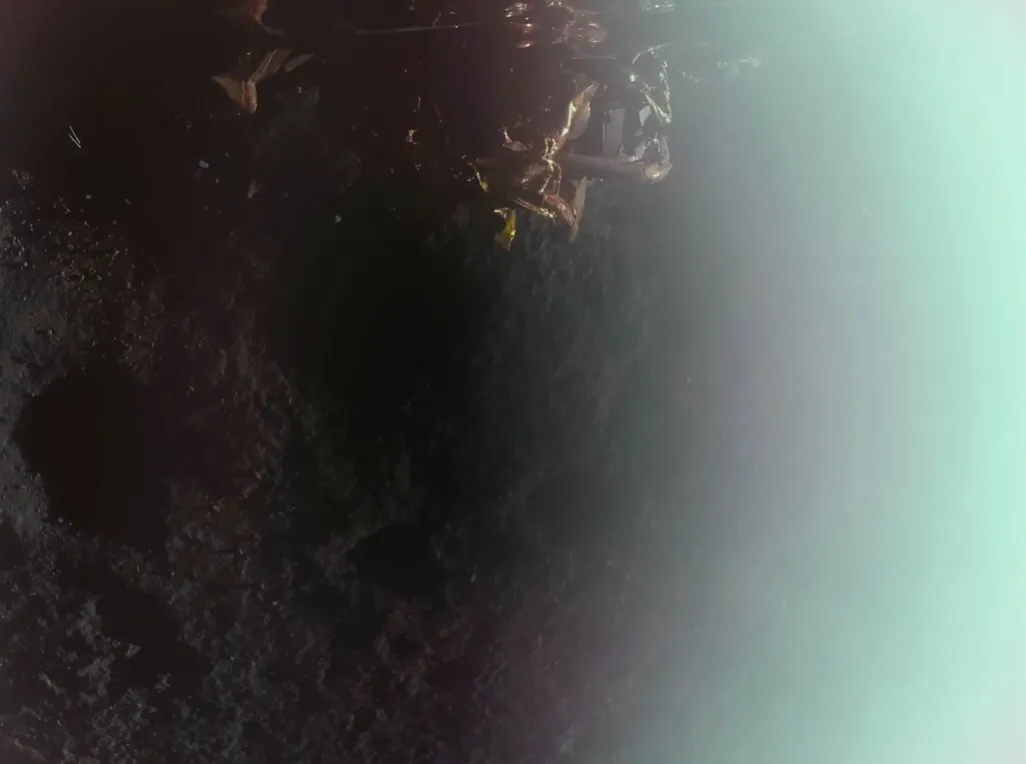 Blue Ghost на Місяці Blue Ghost на Місяці