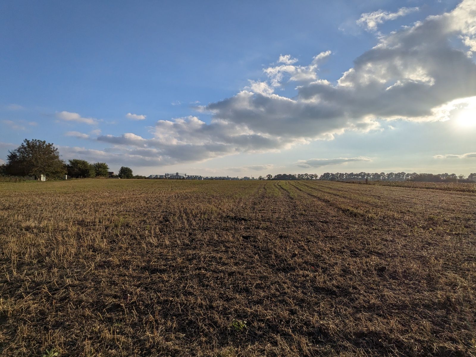 Какие лица с инвалидностью платят налог Какие лица с инвалидностью платят налог