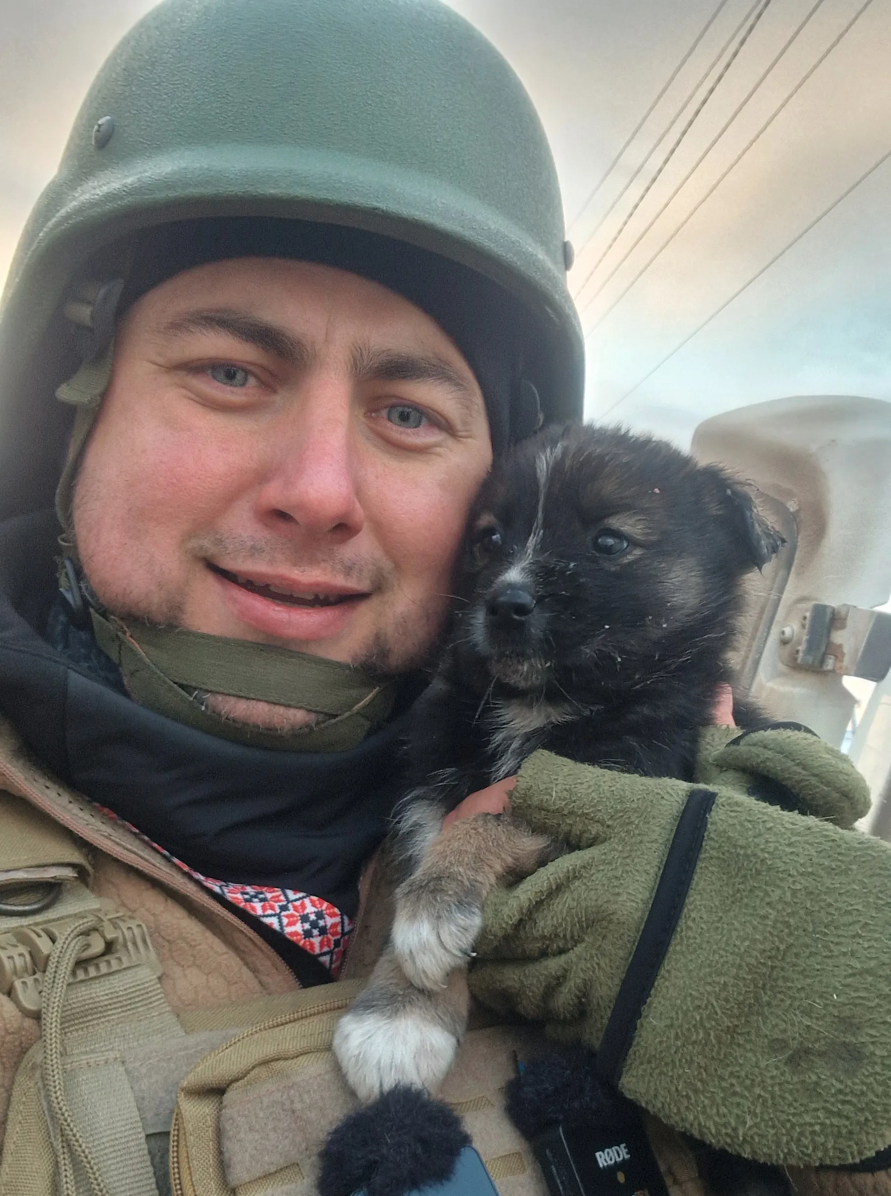 Волонтеры спасают животных Волонтеры спасают животных