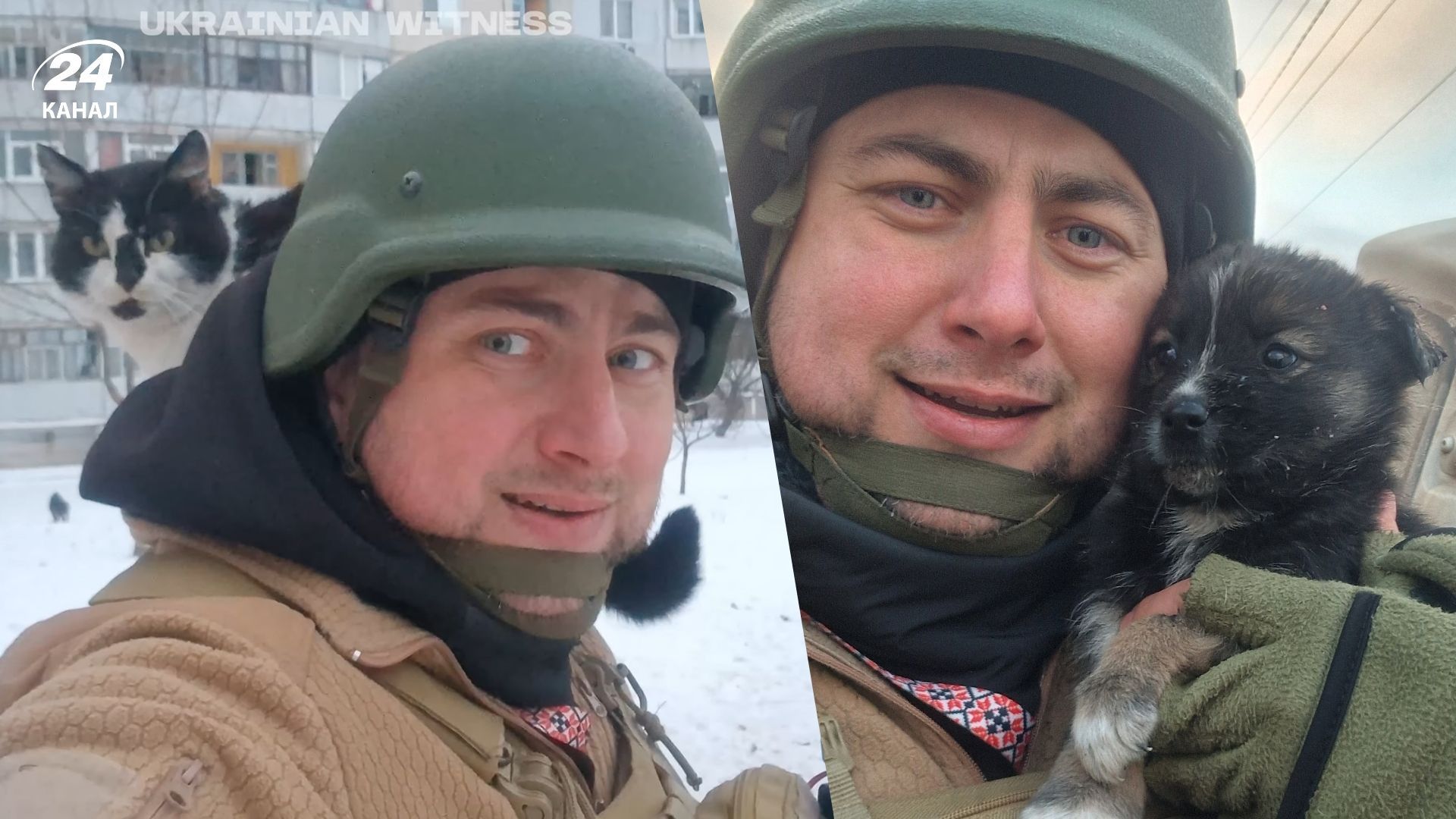 ОО "Спасение животных Харьков" кормят и вывозят животных с прифронтовых территорий