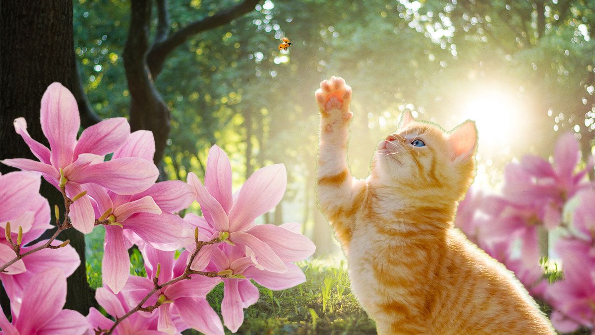 Якою буде погода в березні 2025 Якою буде погода в березні 2025