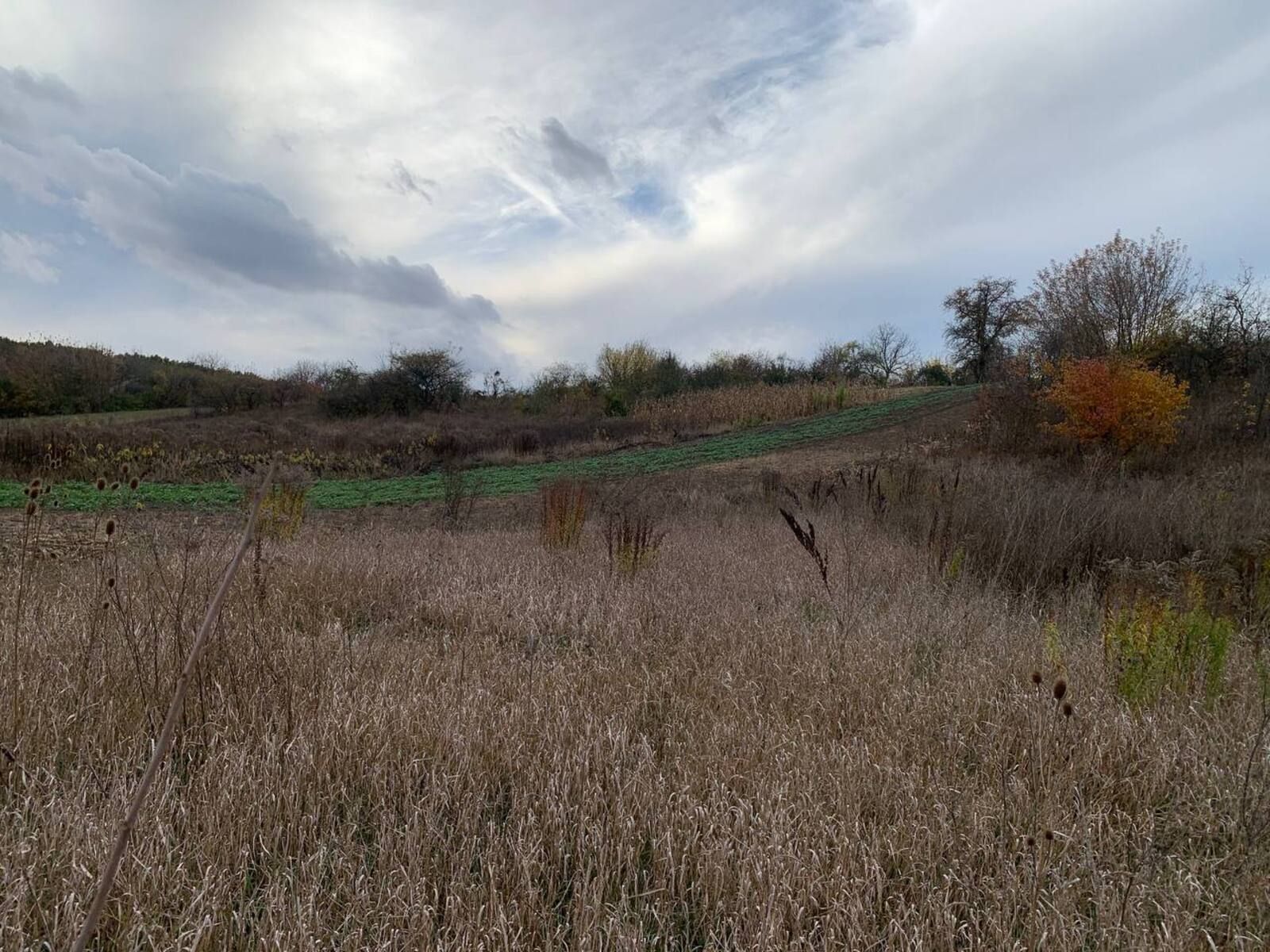Як переукласти договір оренди землі Як переукласти договір оренди землі
