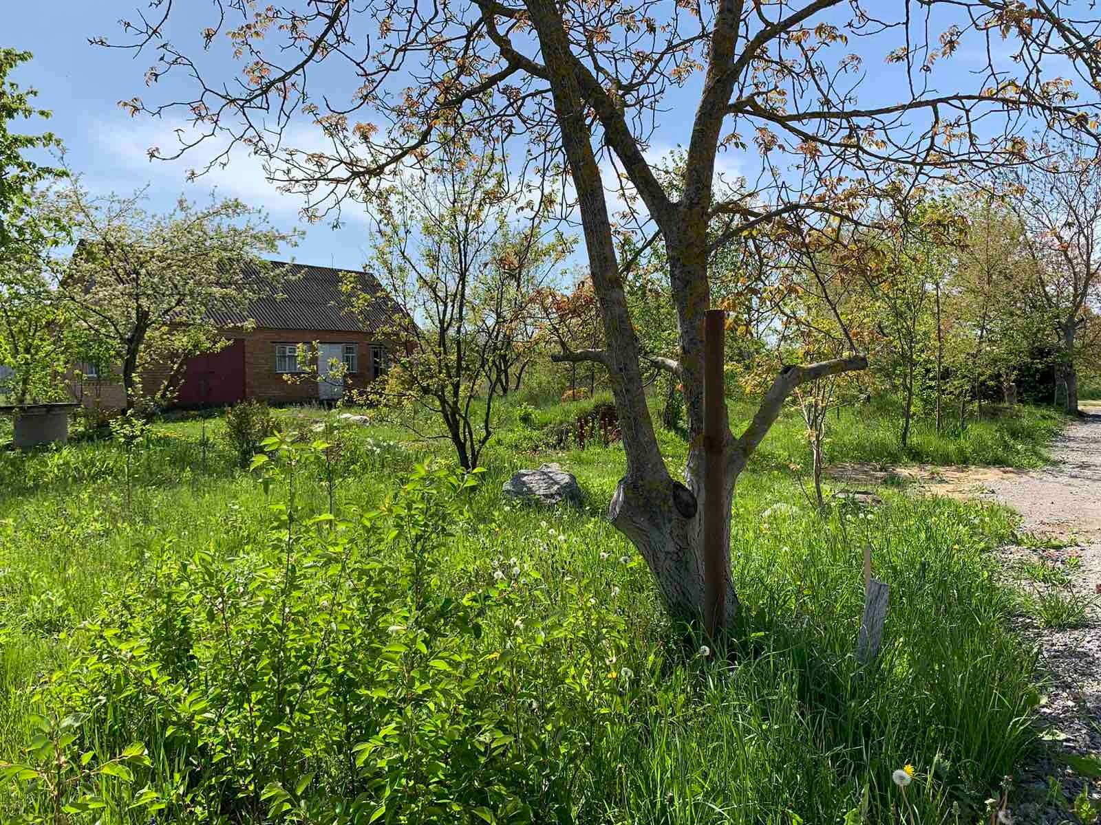 Чия земля, на якій стоїть будинок Чия земля, на якій стоїть будинок