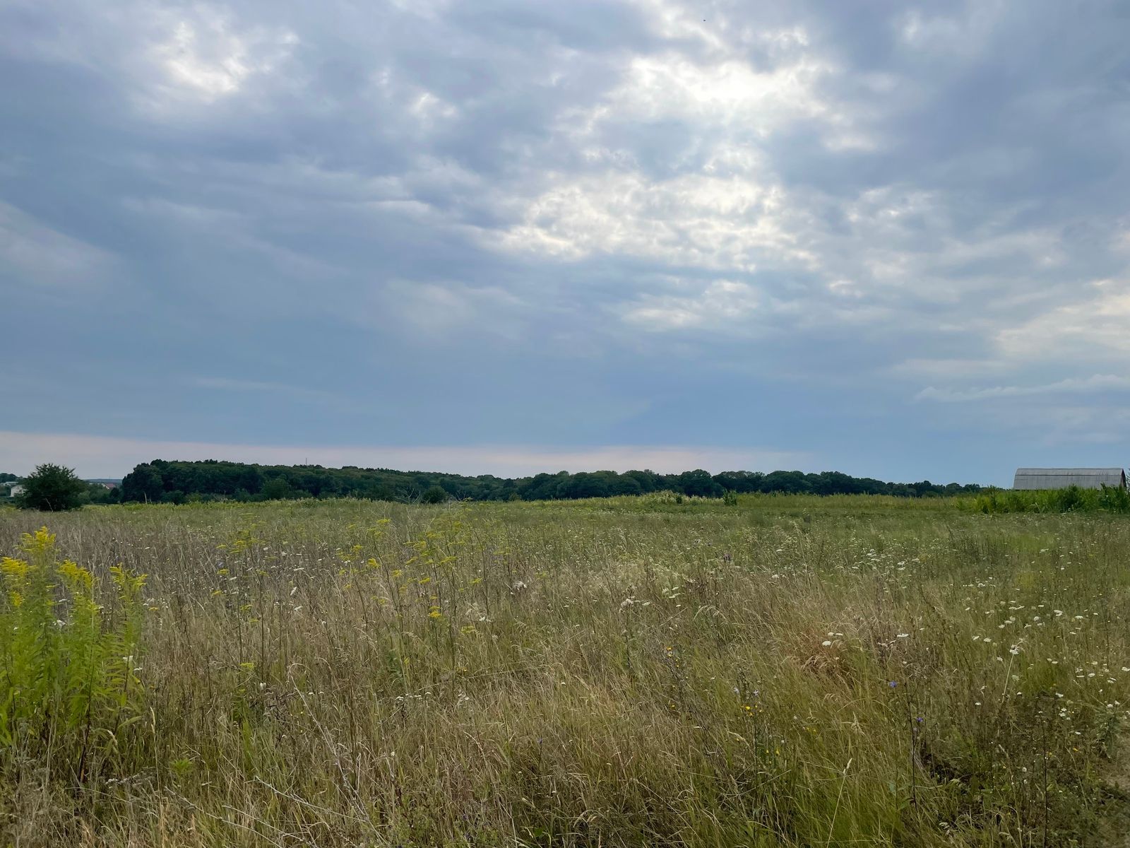 Сколько стоит гектар земли Сколько стоит гектар земли
