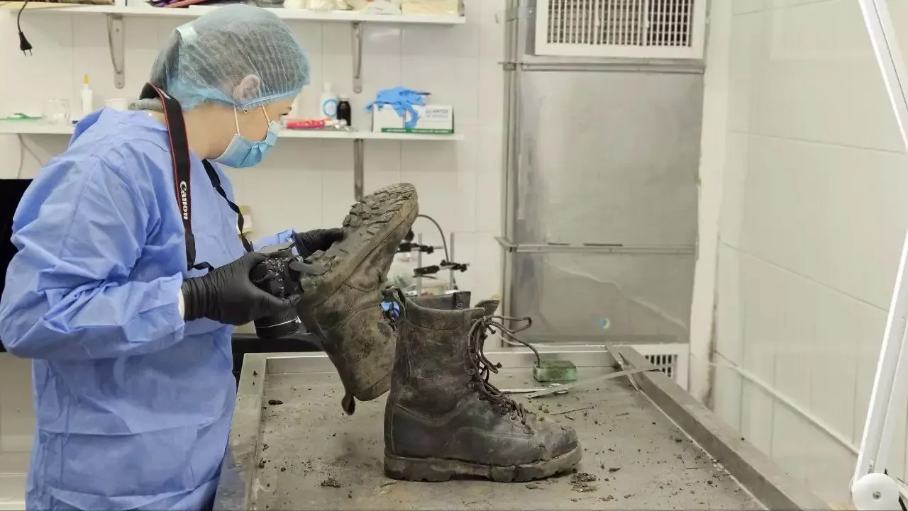 Судово-медична експертиза Судово-медична експертиза