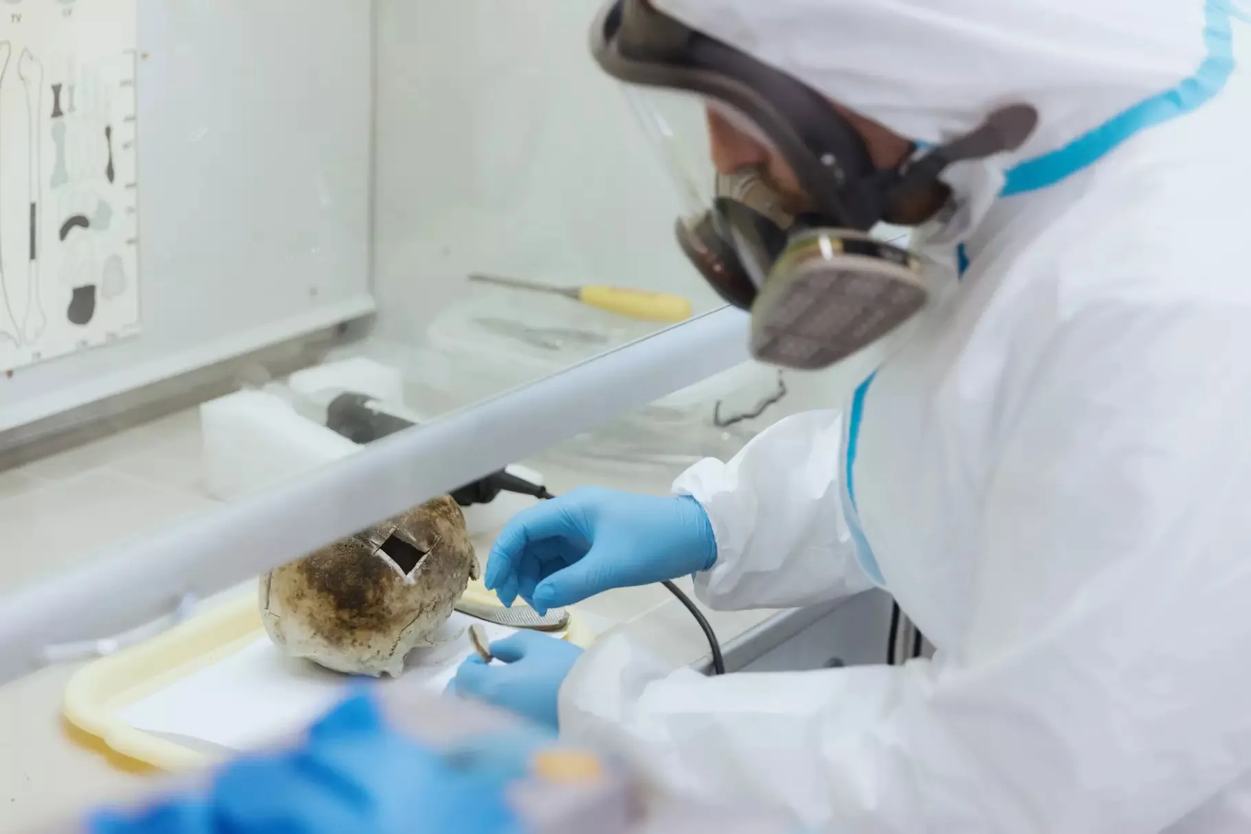 Збір ДНК-ознак людини Збір ДНК-ознак людини