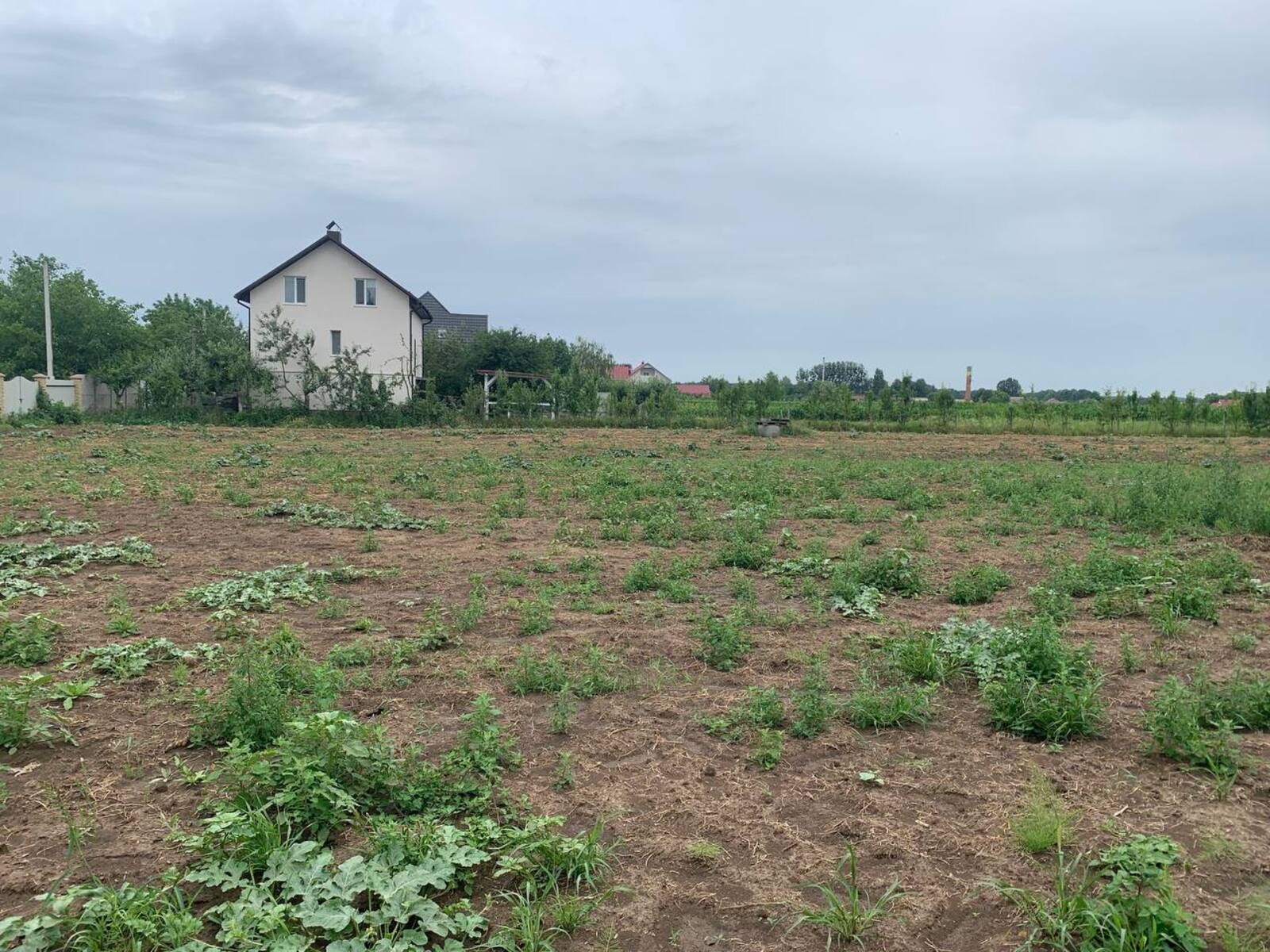 Как государство может изъять вашу землю Как государство может изъять вашу землю