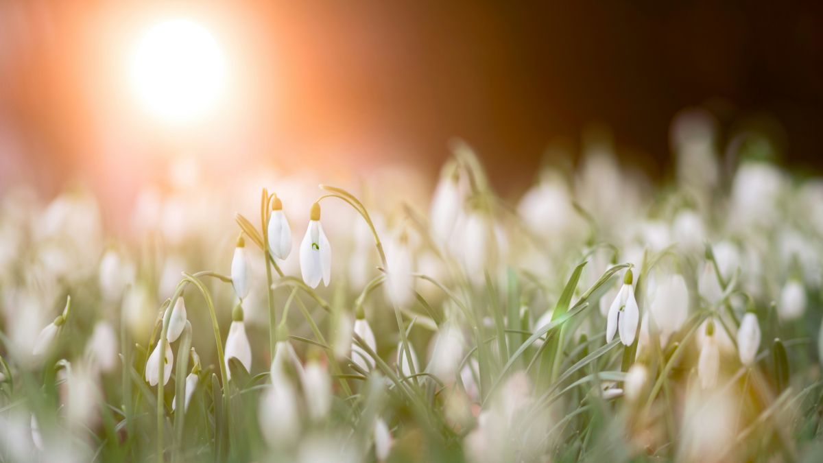 Погода в Україні Погода в Україні