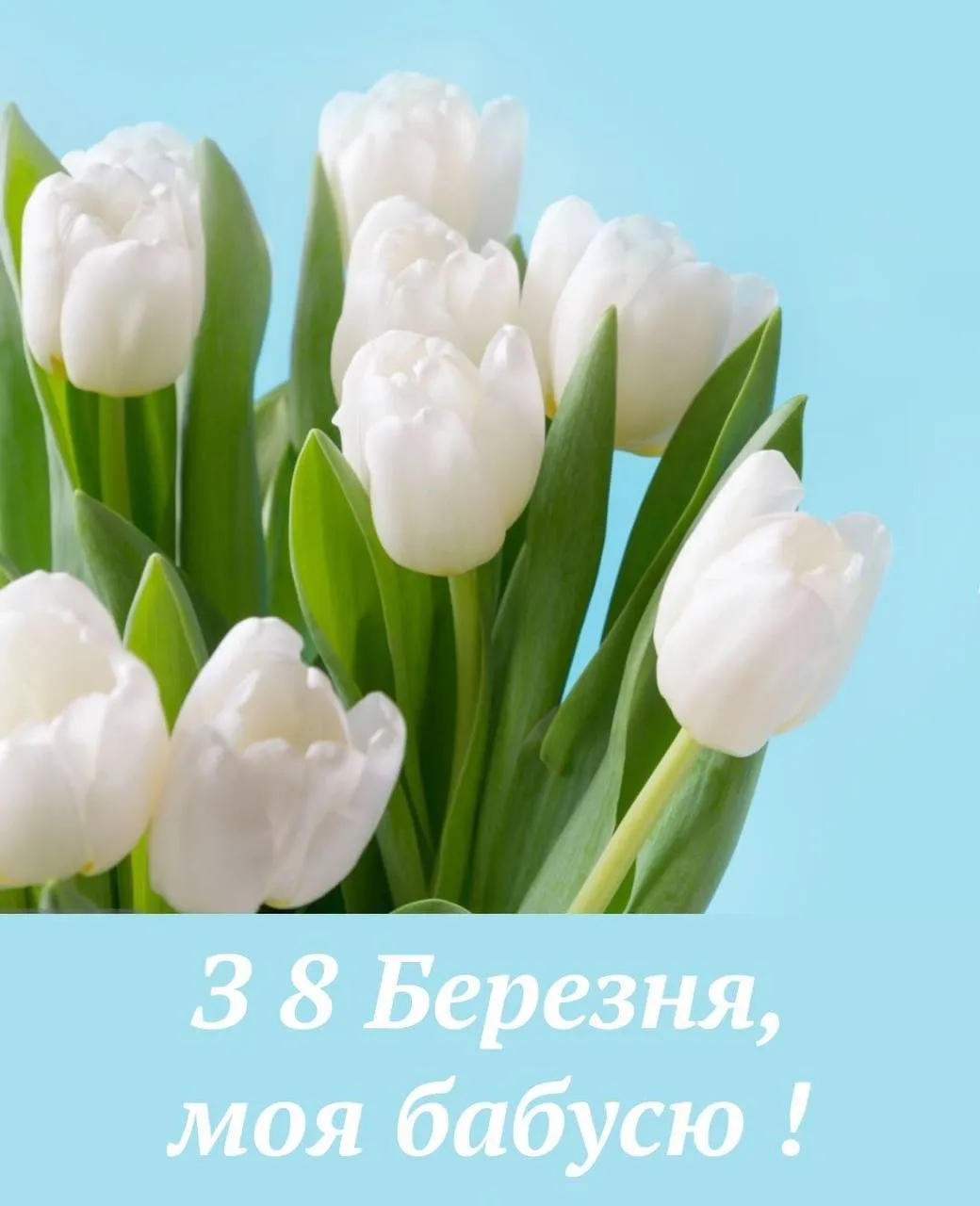 Привітання з 8 березня для бабусі Привітання з 8 березня для бабусі