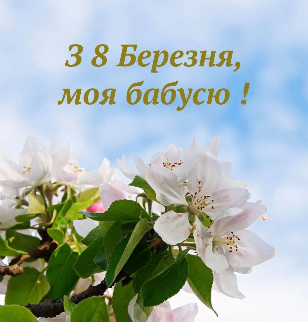 Привітання з 8 березня для бабусі Привітання з 8 березня для бабусі