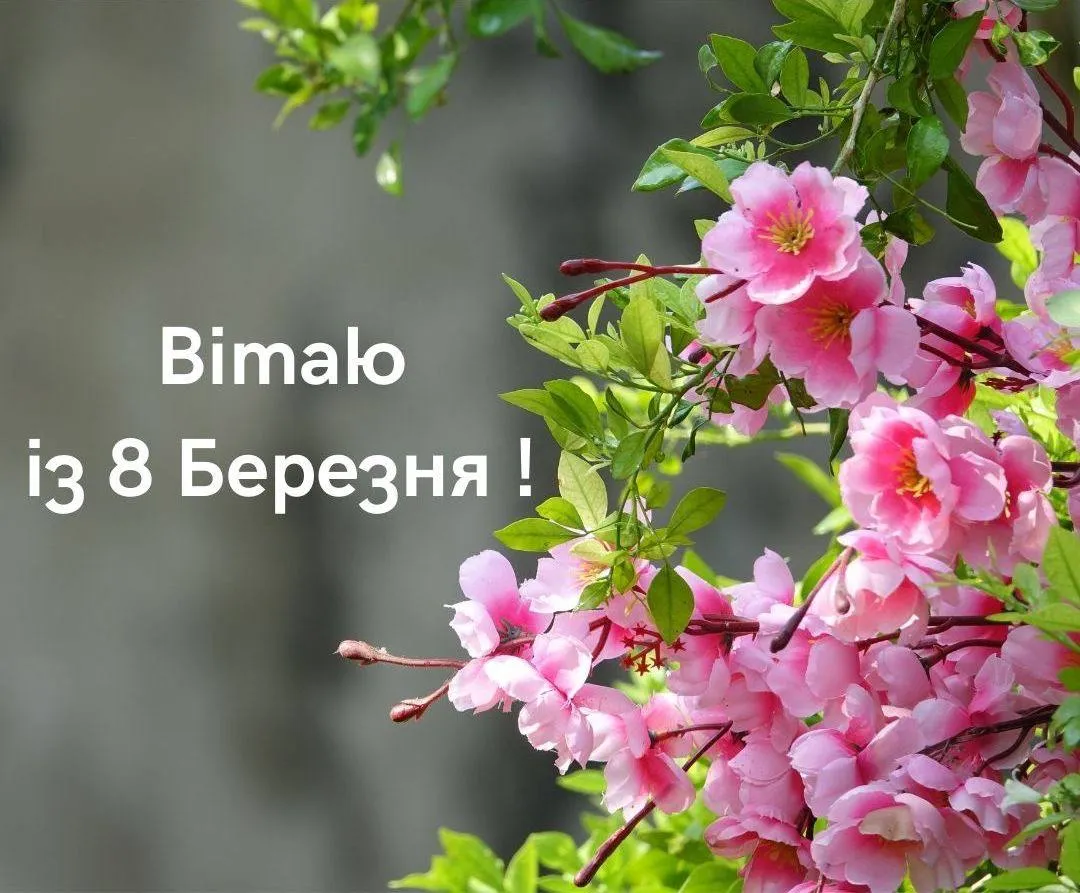 Привітання з 8 березня Привітання з 8 березня
