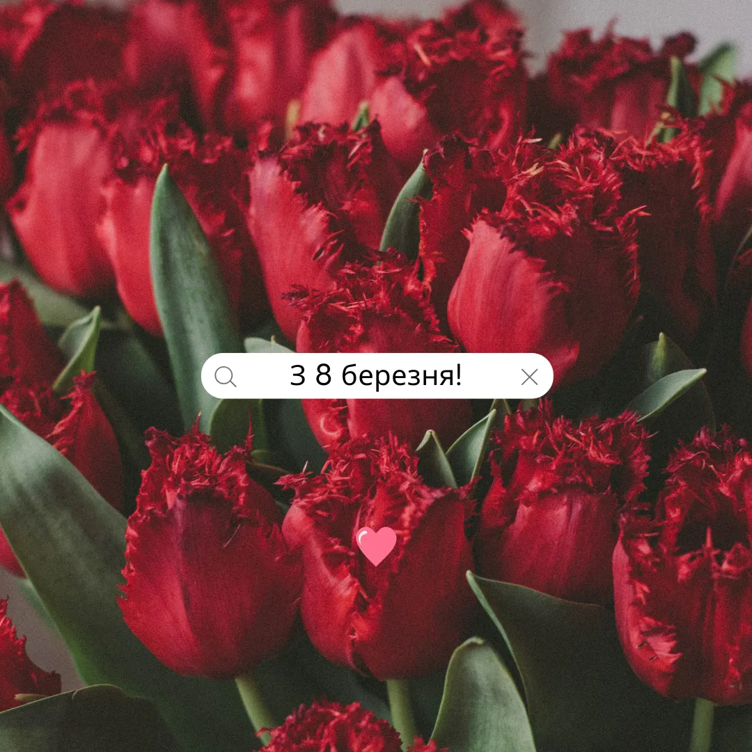 Привітання з 8 березня Привітання з 8 березня