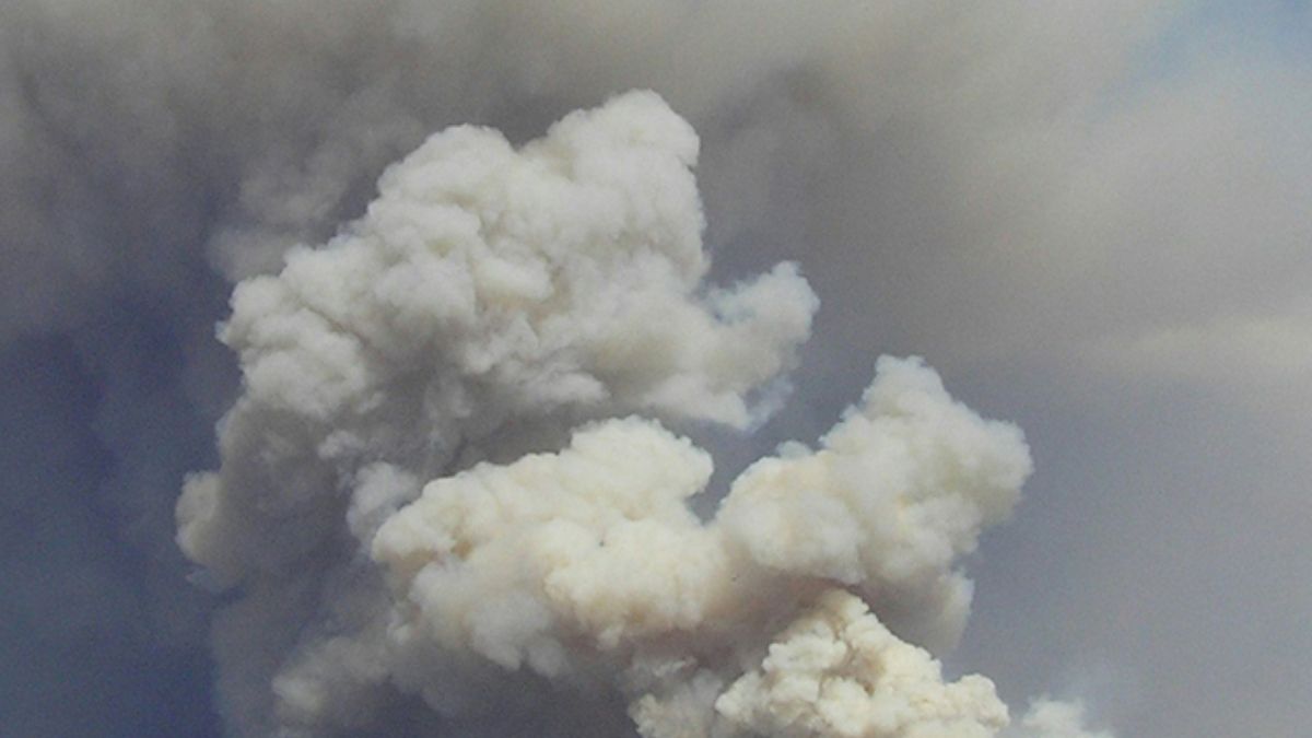 Дроны атаковали НПЗ в Ленинградской области Дроны атаковали НПЗ в Ленинградской области