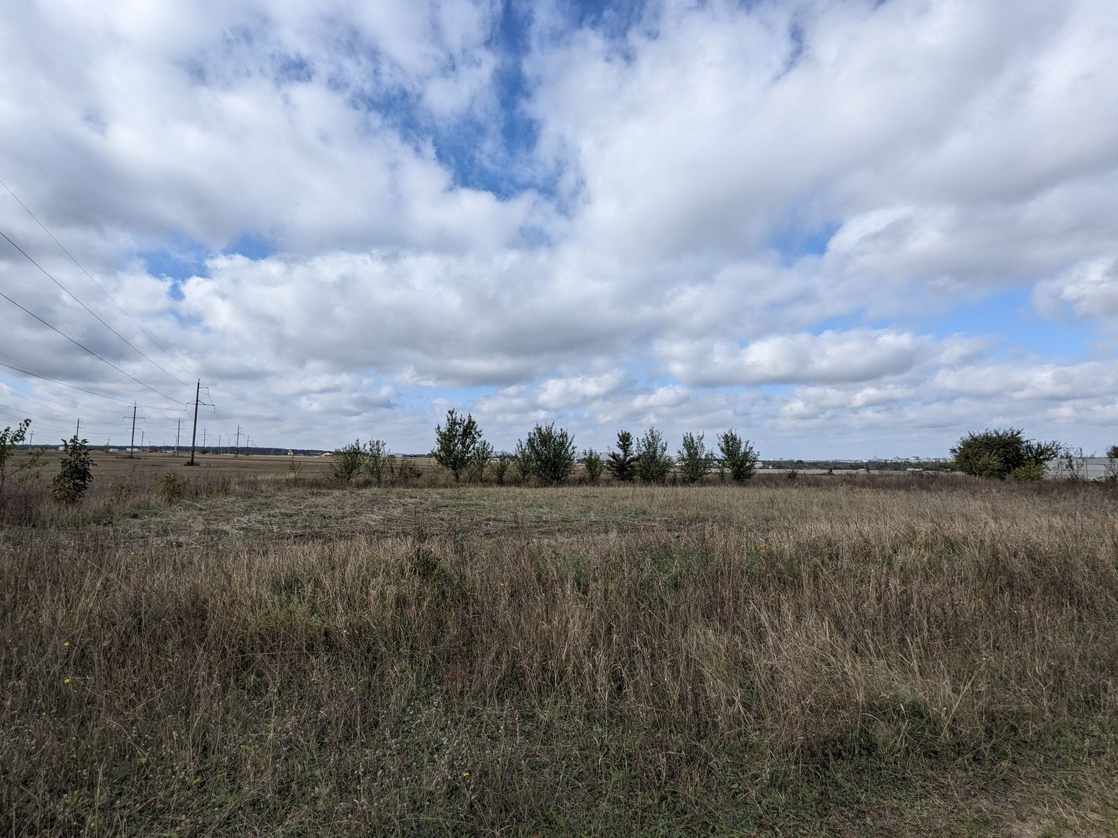 Какие налоги необходимо уплатить Какие налоги необходимо уплатить